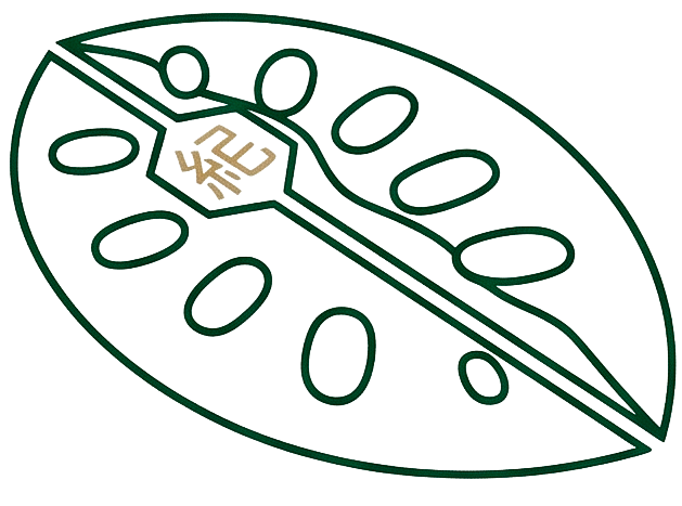 Midori Logo